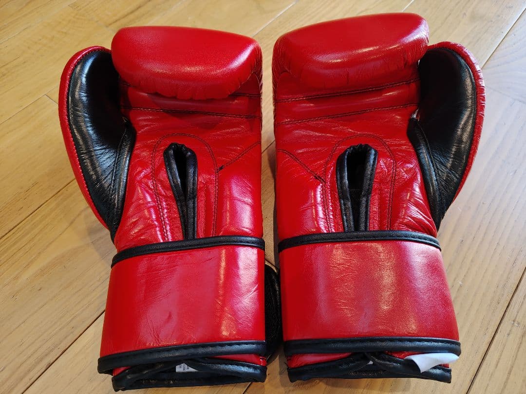 美品！レイジェス　グローブ　10オンス　レッド　赤　新品イサミ　ハーネス付き