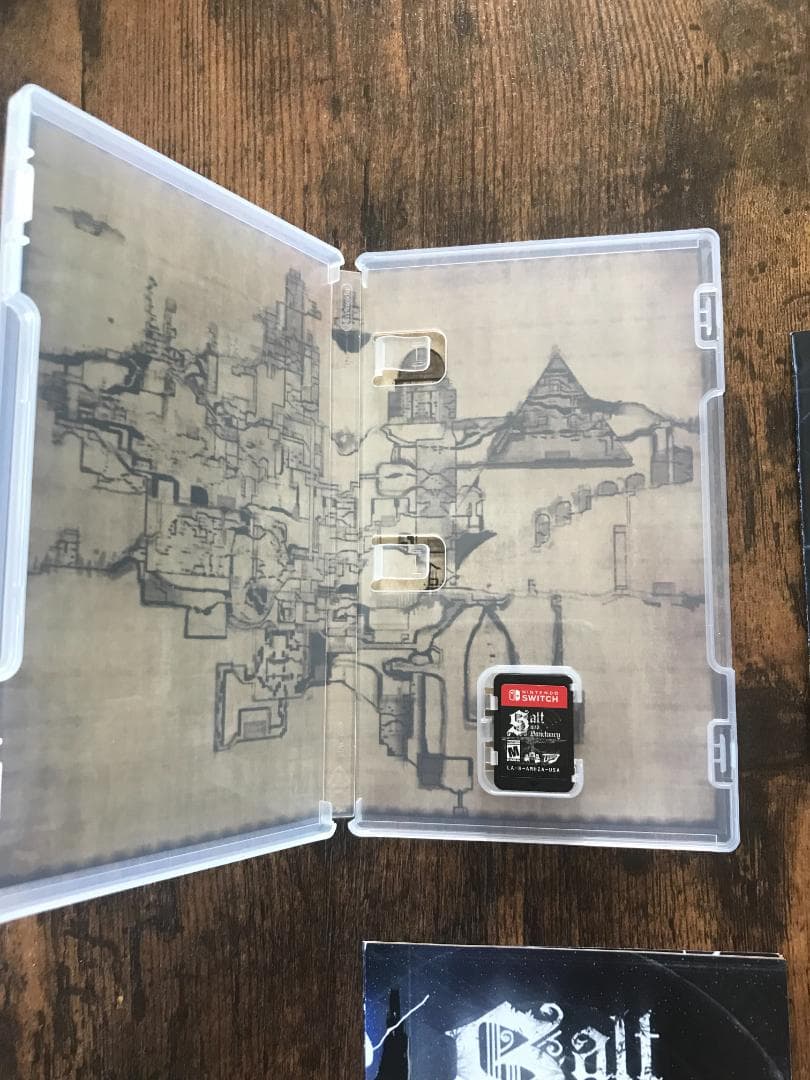 Salt and Sanctuary 完品 ソルト アンド サンクチュアリ