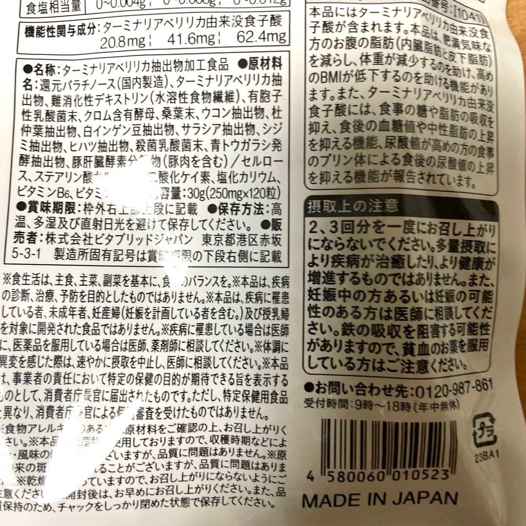 Vitabrid ターミナリアファーストプロフェッショナル 120粒入り　送込