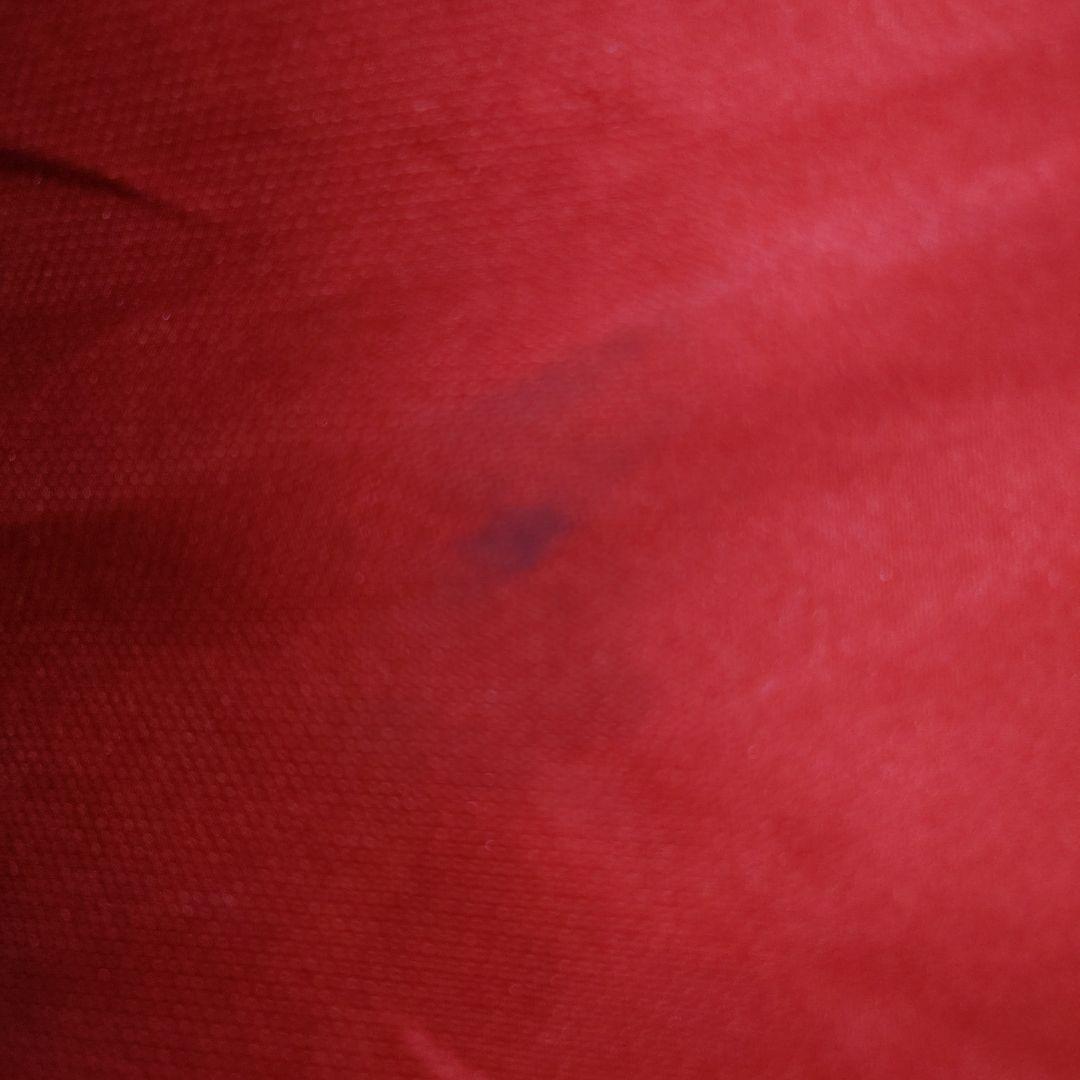 Kashima Antlers Nike シャツ