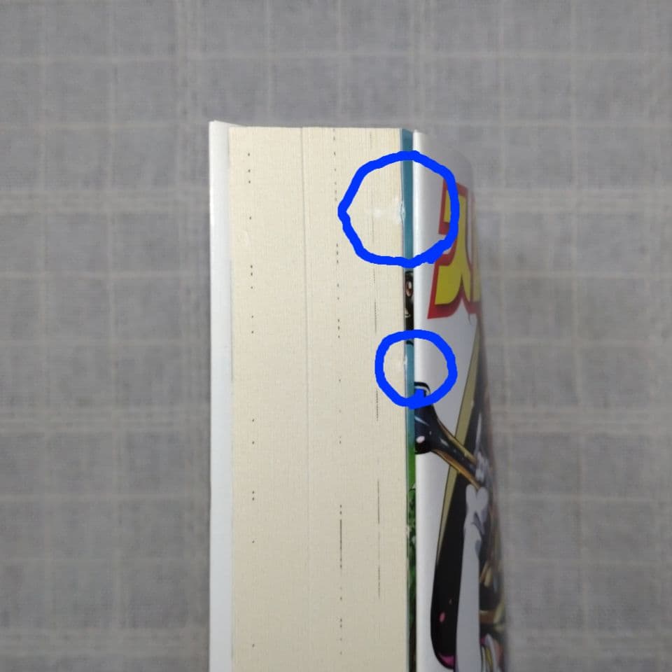 スレイヤーズ 16 アテッサの邂逅 神坂一 あらいずみるい アニメイト限定