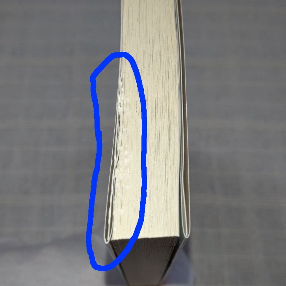 スレイヤーズ 16 アテッサの邂逅 神坂一 あらいずみるい アニメイト限定