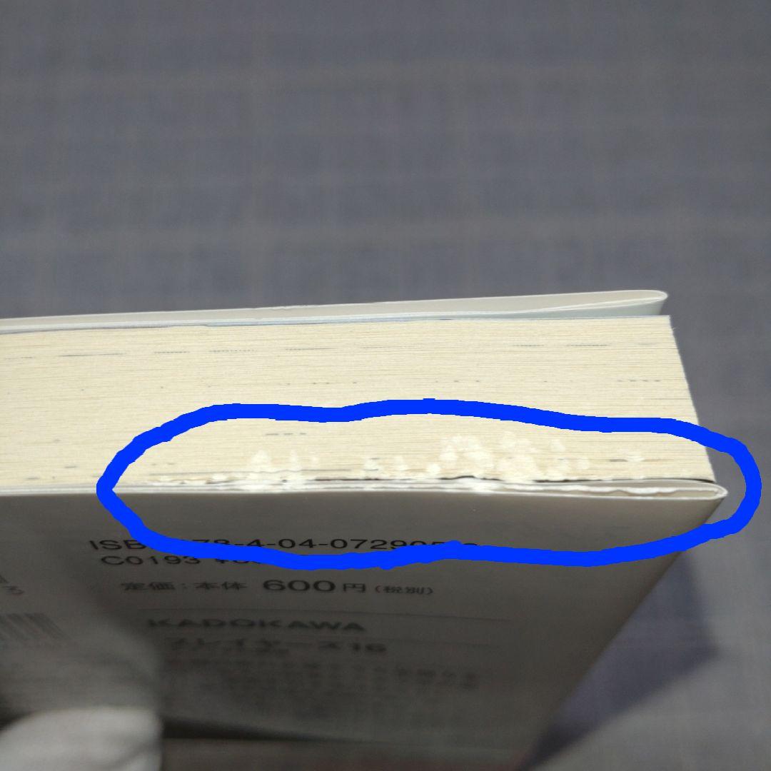 スレイヤーズ 16 アテッサの邂逅 神坂一 あらいずみるい アニメイト限定