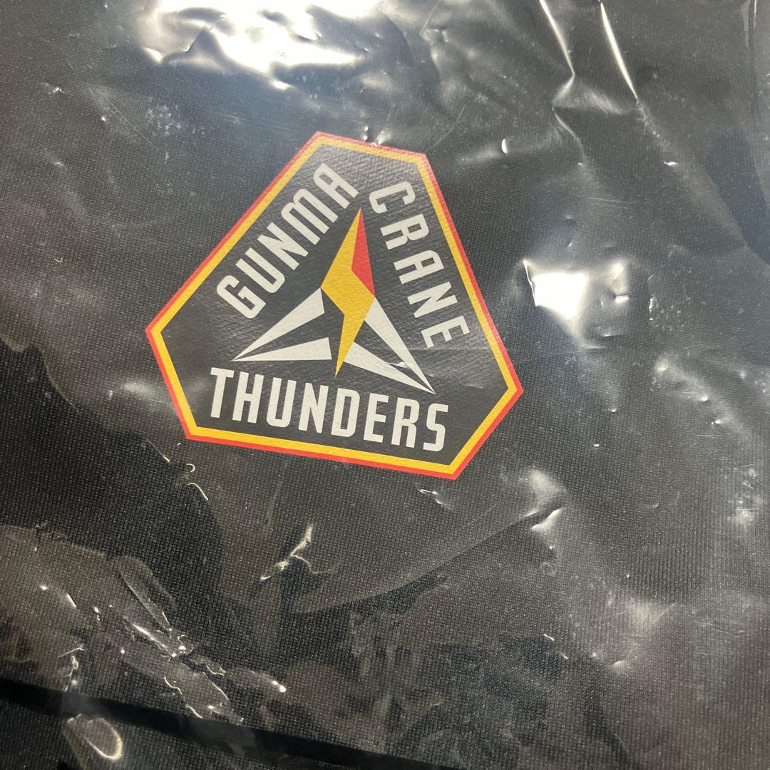 選手移動着 セットアップ(L) 群馬クレインサンダーズ