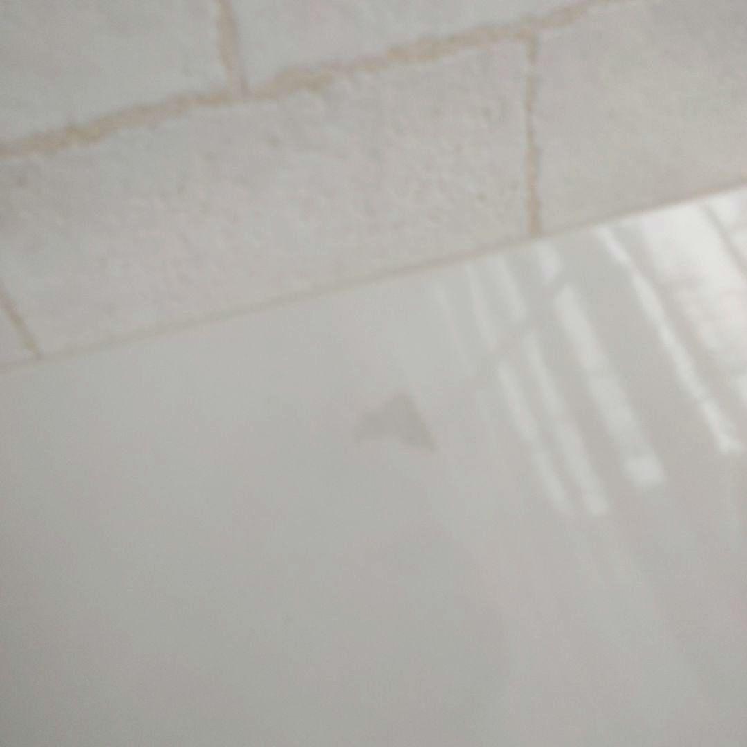 HEREND ヘレンド 2022年 寅 イヤーズプレート 新品 箱 スタンド付