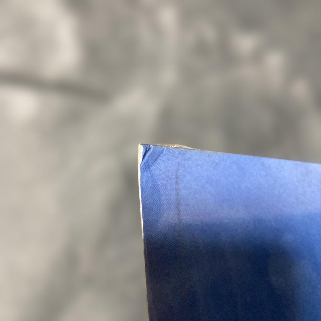 未開封 STRAIT UP 2LP US盤 2000年 SNOT トリビュート