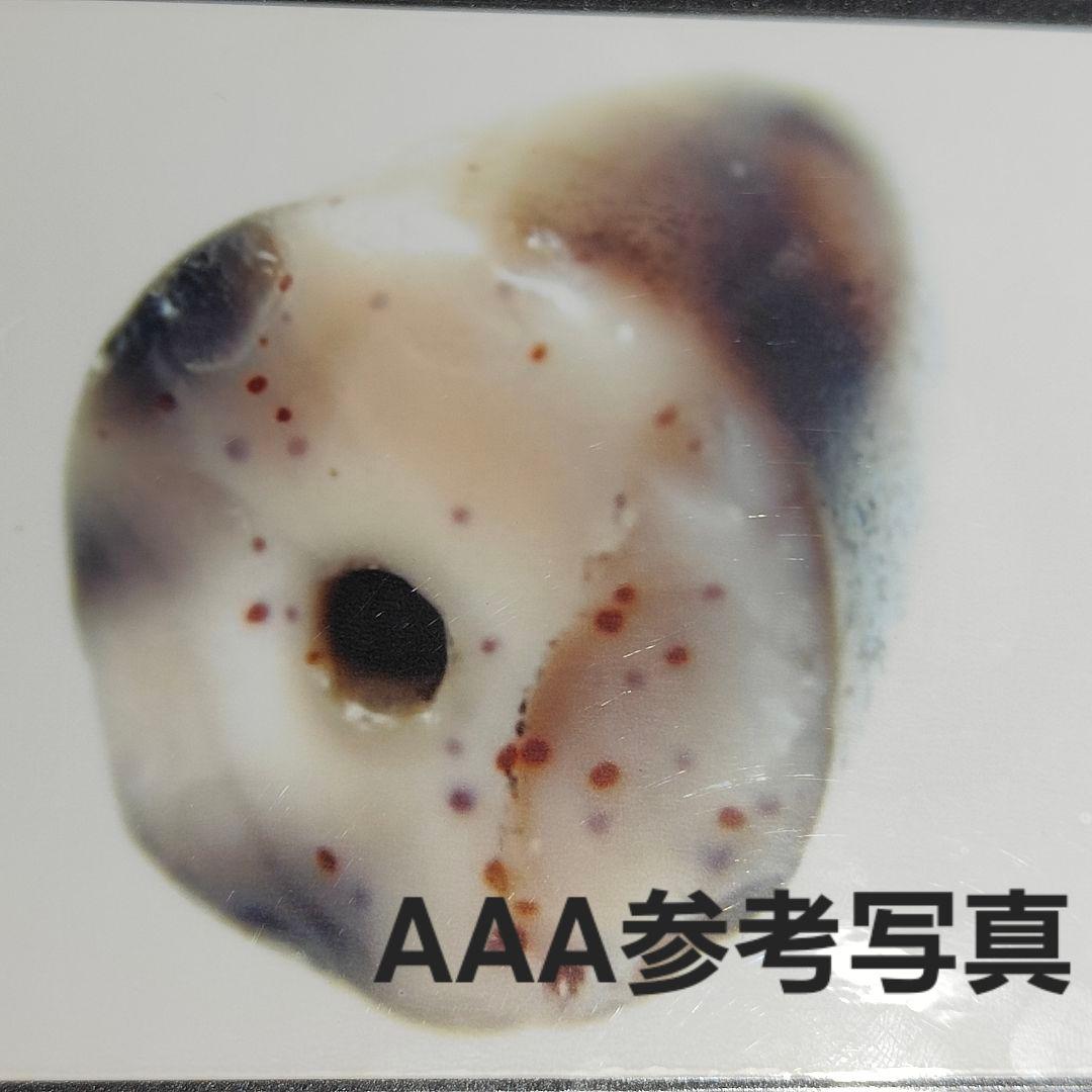 10 老礦天珠　中型　三眼天珠　天珠　天然石　鉱物　風水　開運　ブレスレット