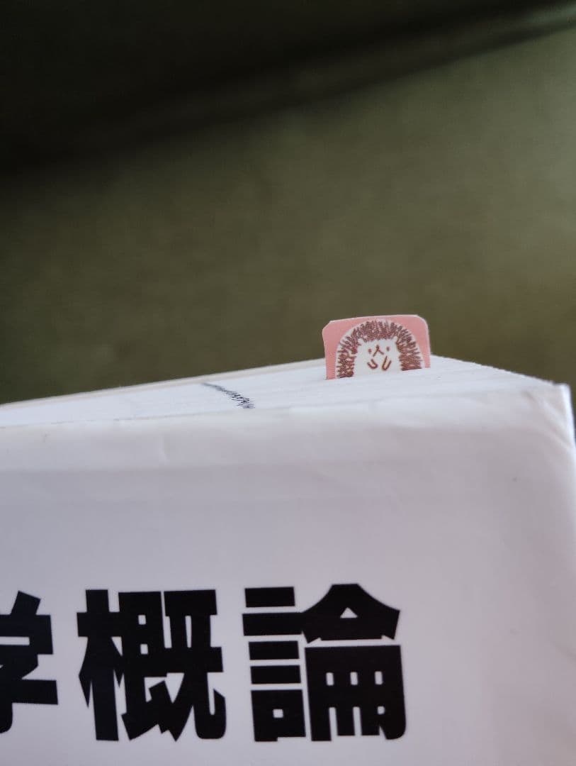 教科書13冊　鍼灸　あマ指