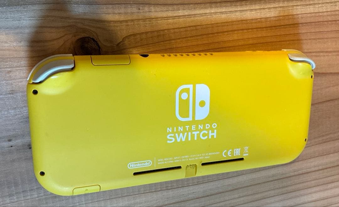 Switch ライト　ケース付き