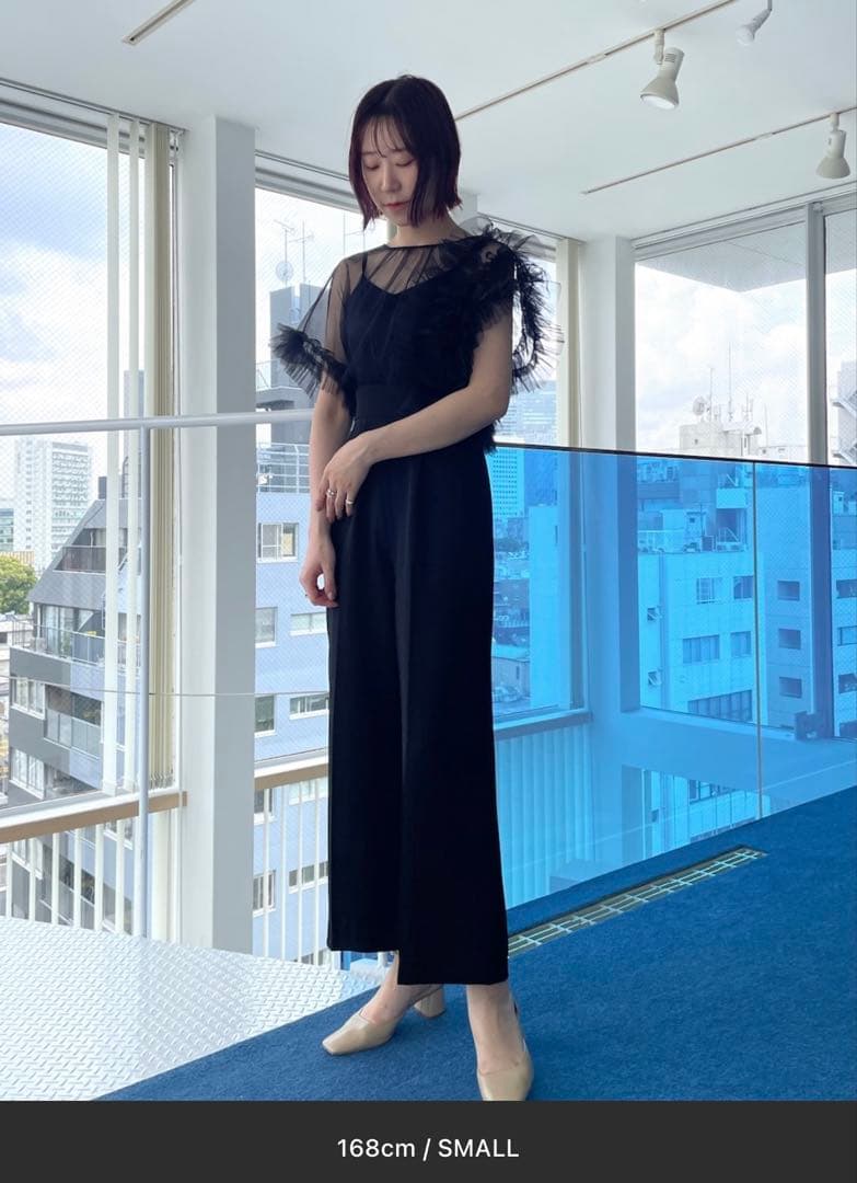 LADYチュールドッキングコンビネゾン