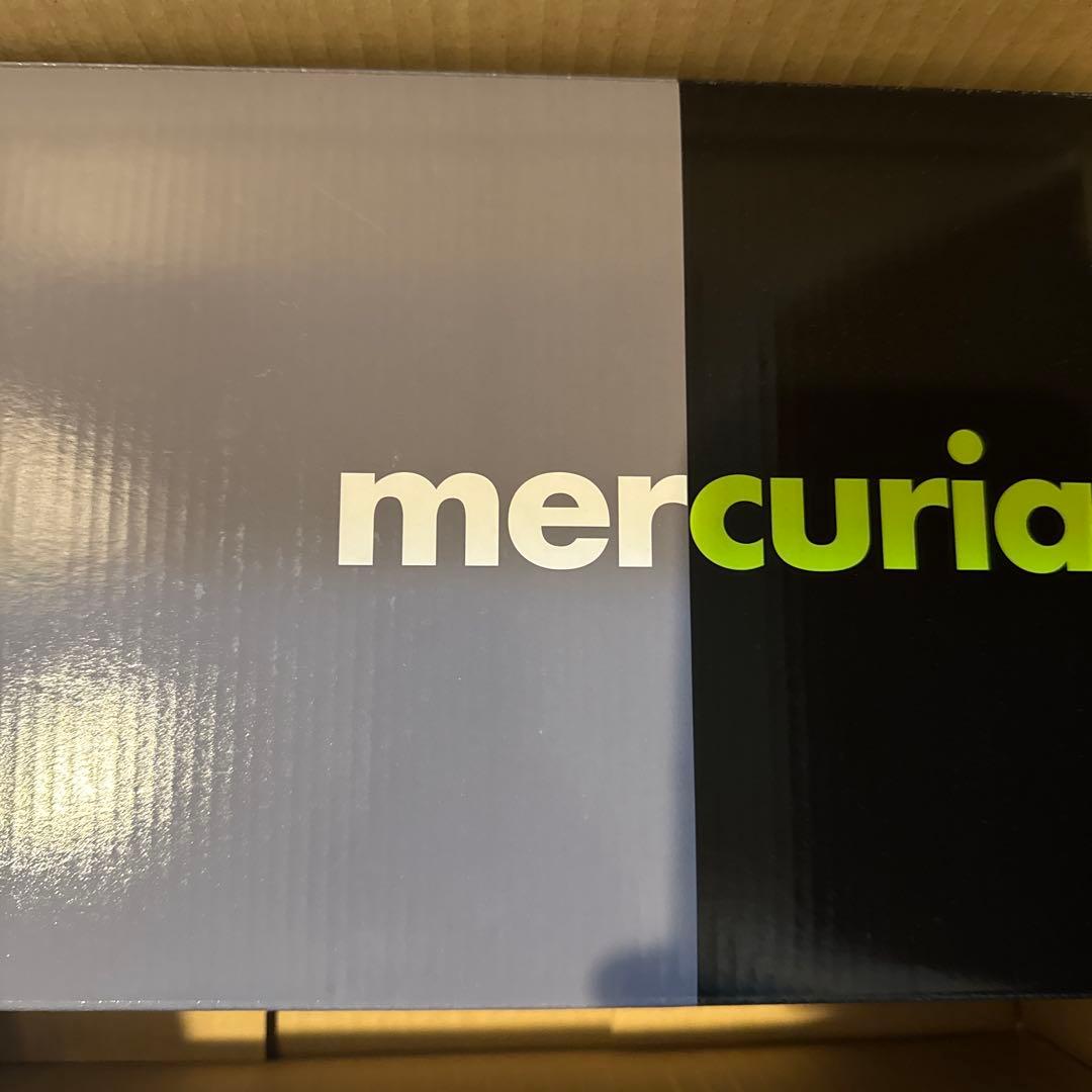 ナイキマーキュリアルスーパーフライ10 xエアマックス 95 SE 26.5㎝