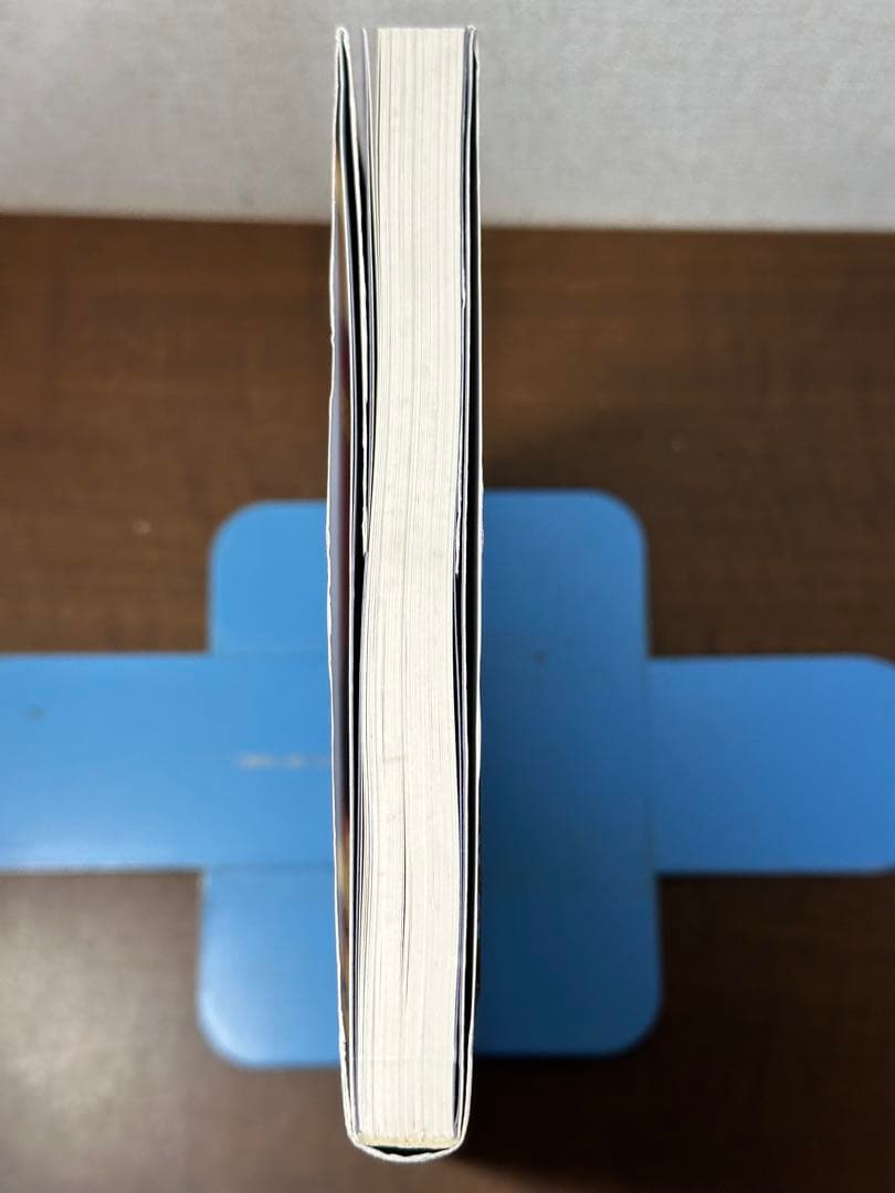 螳螂拳大要 : 陰陽兼備の総合拳法　帯付き