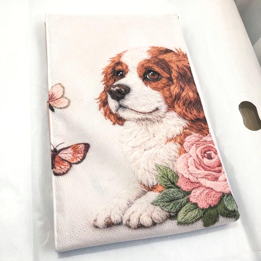 RANDY.RODY　フォロー割