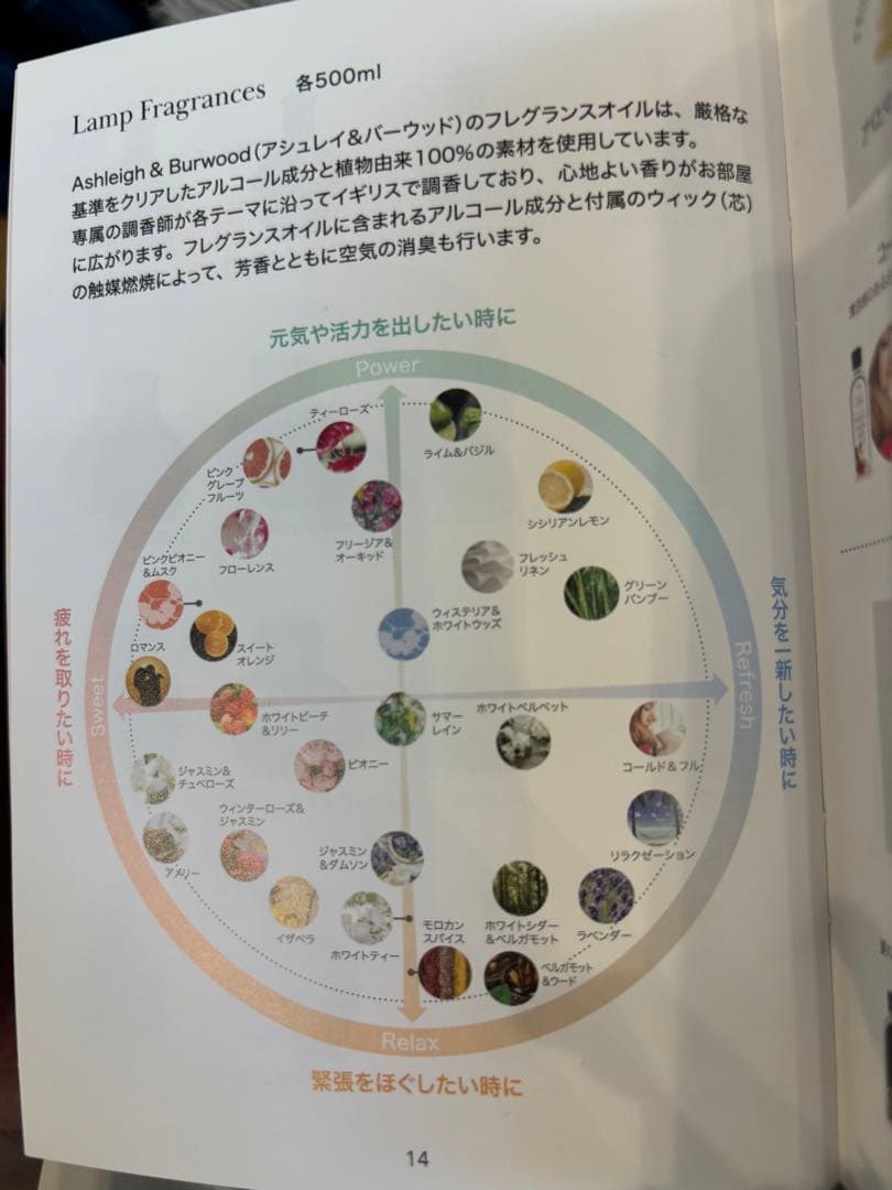 アシュレイ＆バーウッド　トゥインクルスターS・オイルセット