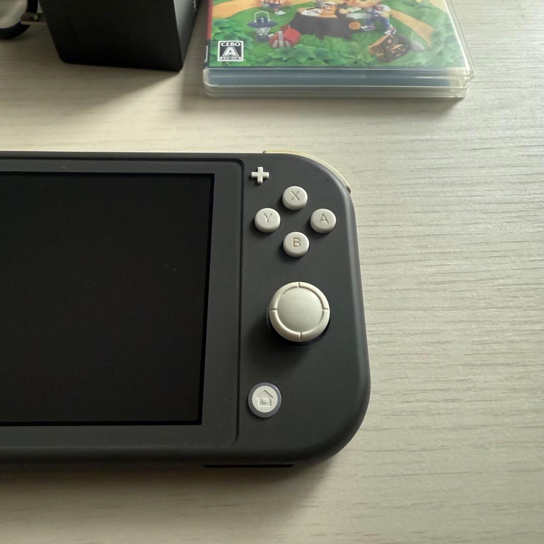 シャッド　Nintendo Switch Liteセット