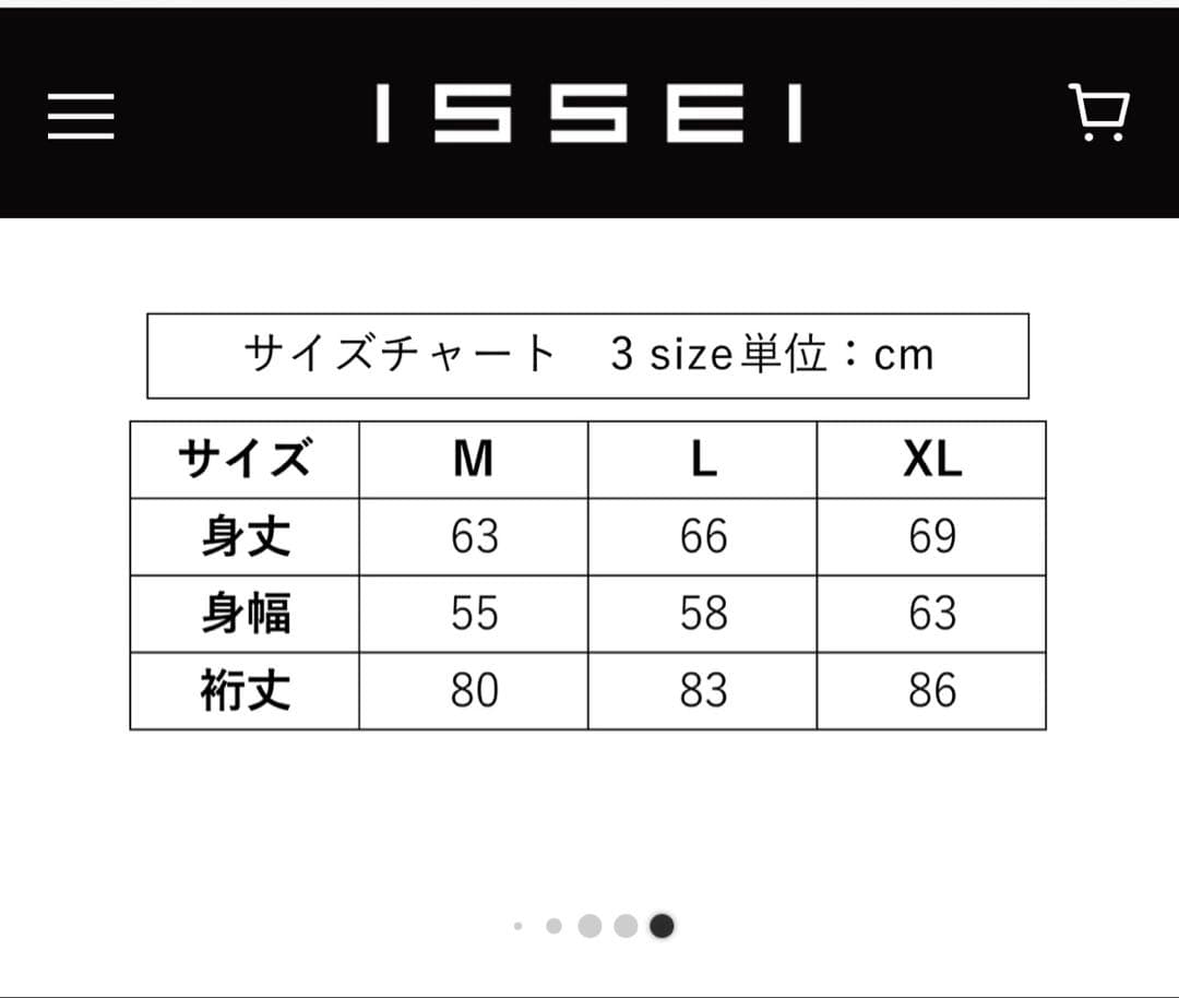 isseiロゴ ZIPパーカー　Mサイズ