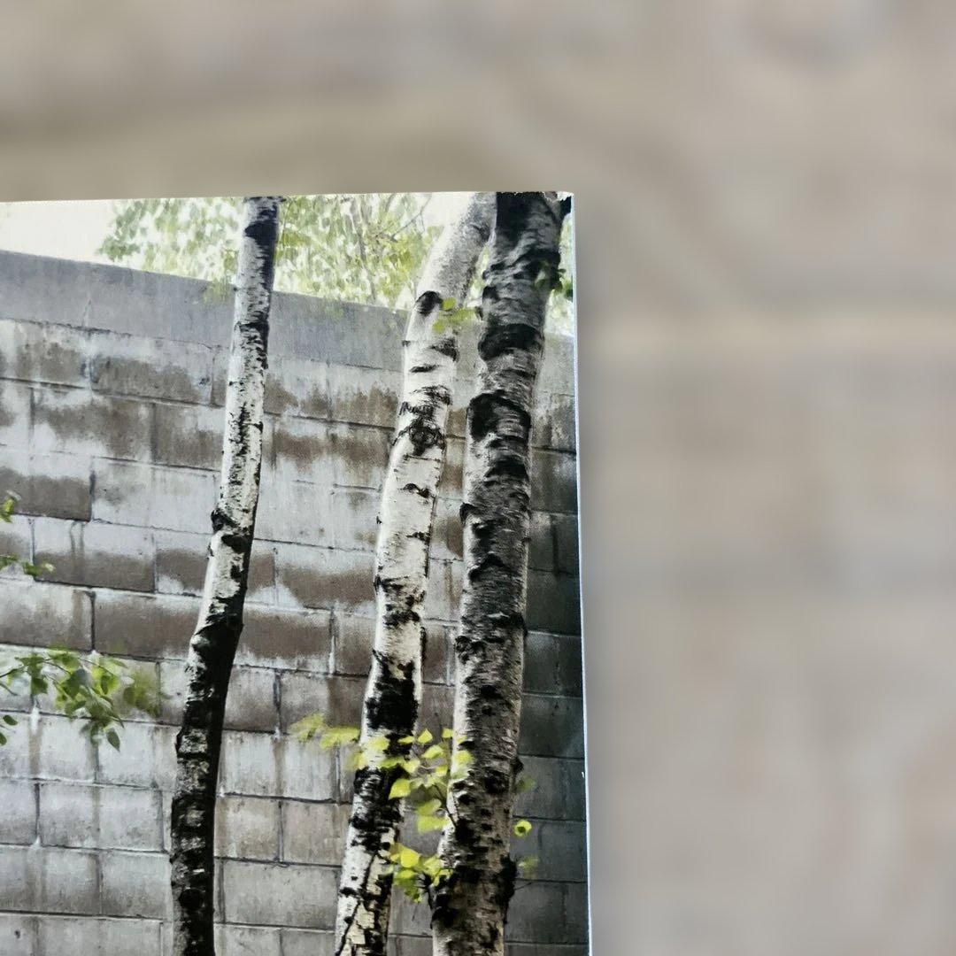 トムサックス ティーセレモニー 図録 Tom Sachs 東京オペラシティ