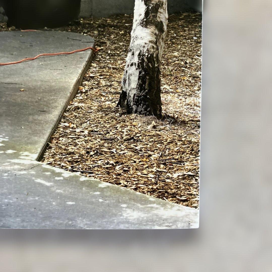 トムサックス ティーセレモニー 図録 Tom Sachs 東京オペラシティ