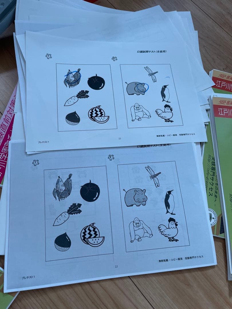 値下げ江戸川学園取手小学校受験対策教材セット