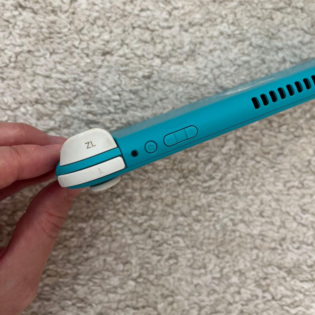 Switch Lite 本体のみ 動作確認済み