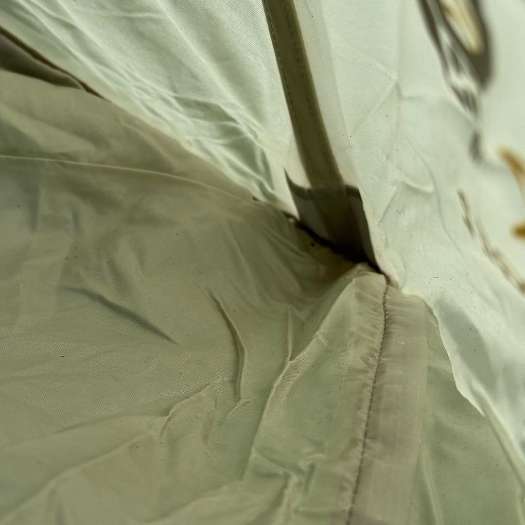 マウンテンハードウェア LIGHT WEDGE2 グリーン FP付