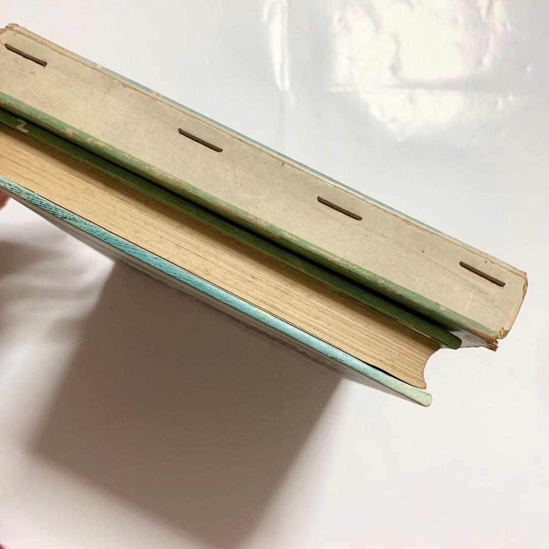 おおかみ犬レッディ 函入りハードカバー 初版本 リピンコット 前田三恵子