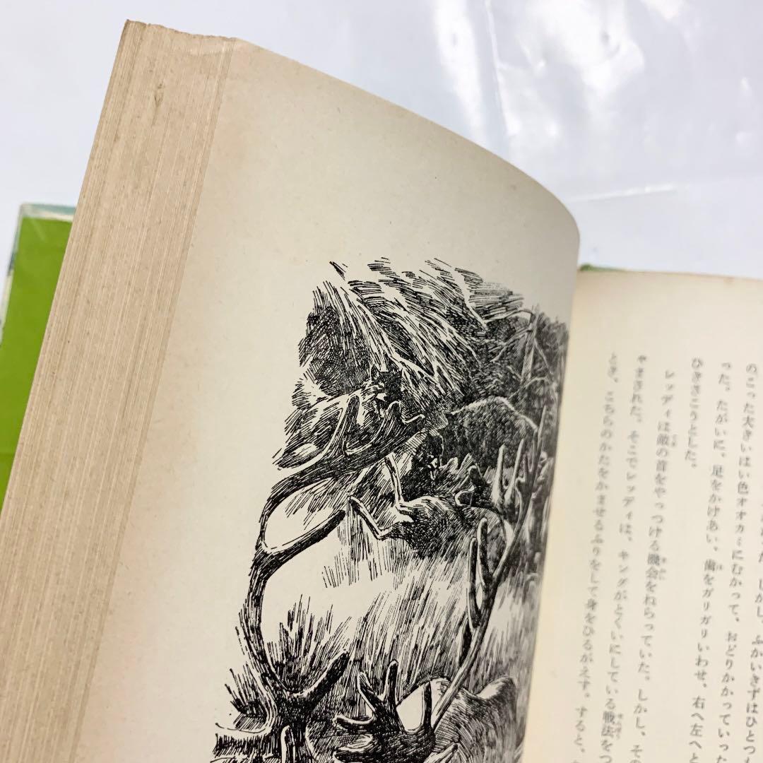 おおかみ犬レッディ 函入りハードカバー 初版本 リピンコット 前田三恵子