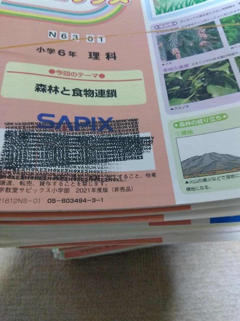 2021年度 サピックス 小学6年 理科