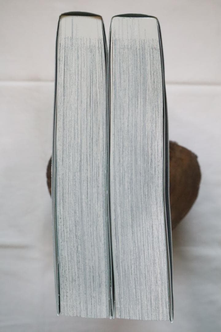 からくりサーカス 完全版 25,26巻 2冊セット 藤田和日郎著