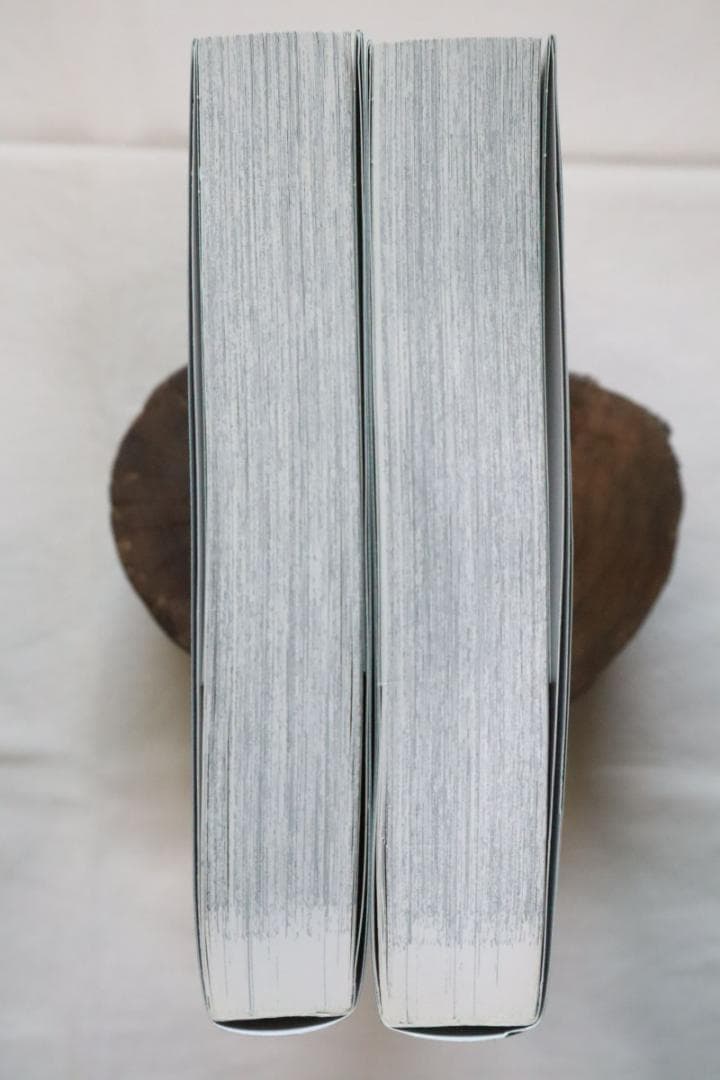 からくりサーカス 完全版 25,26巻 2冊セット 藤田和日郎著