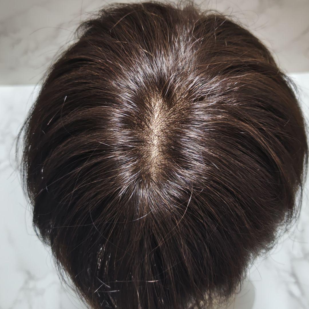 アートネイチャージュリアオージェANCS HM1-1DE5 Sサイズフルウィッグ