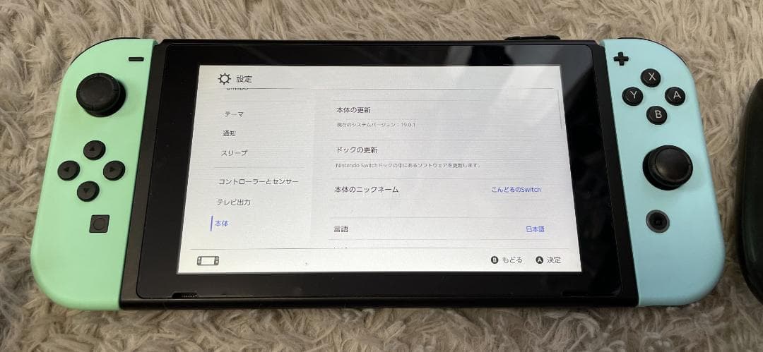 Nintendo Switch あつまれ どうぶつの森セット 美品 ※あつ森なし