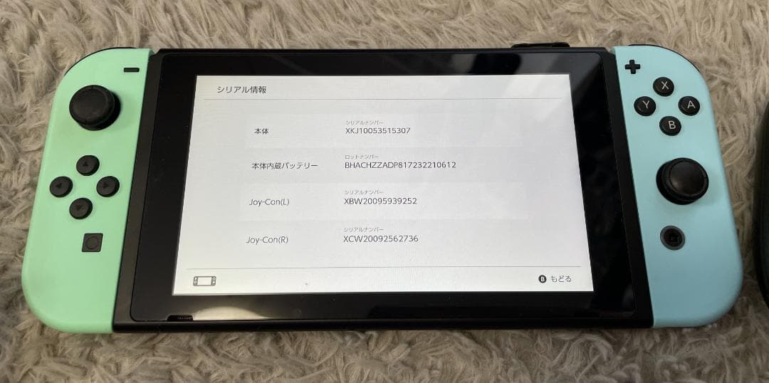 Nintendo Switch あつまれ どうぶつの森セット 美品 ※あつ森なし