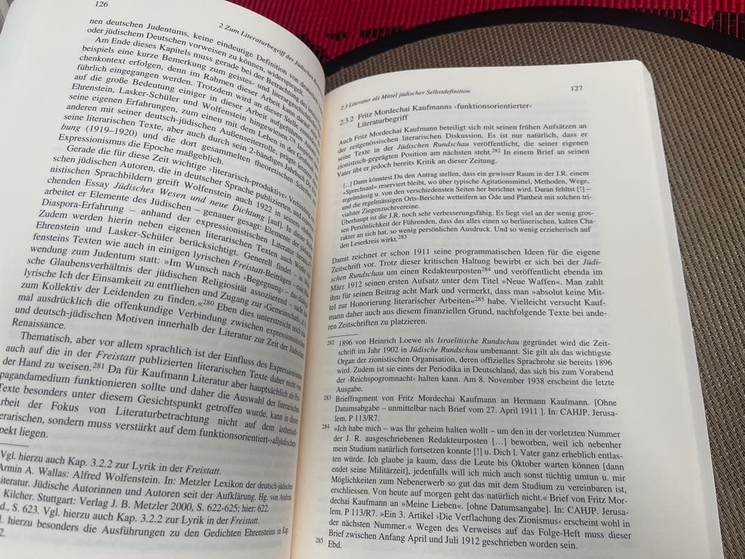 洋書 Fritz Mordechai Kaufmann und