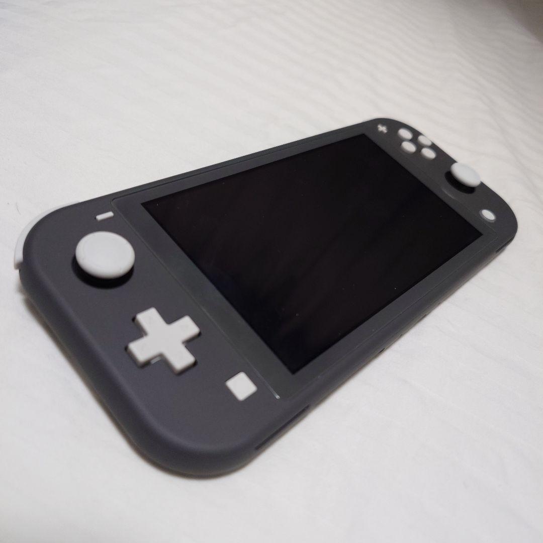 【美品】Nintendo Switch Lite グレー ケース付き