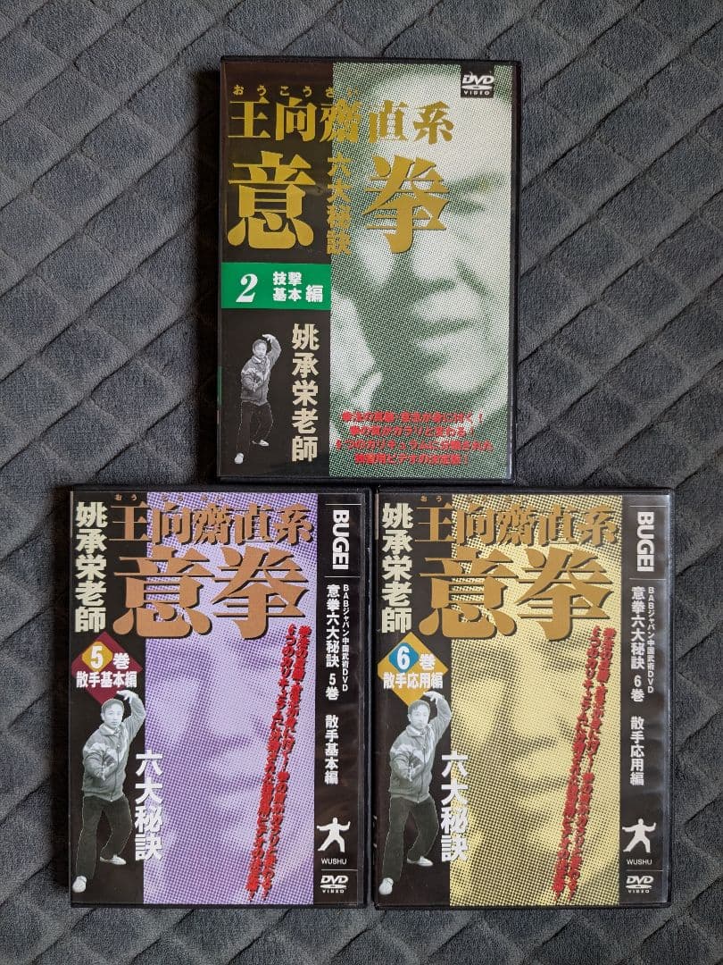 王向齋直系 姚承栄老師 意拳 六大秘訣 DVD 3本セット 中国武術