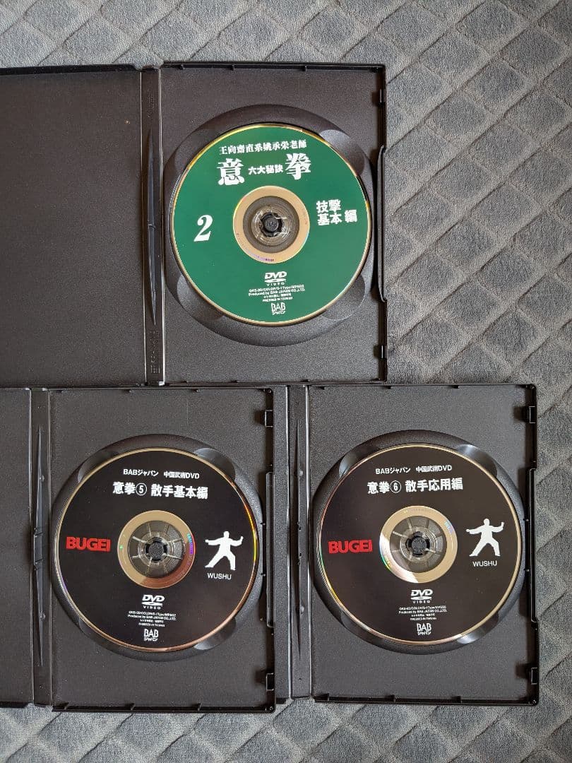 王向齋直系 姚承栄老師 意拳 六大秘訣 DVD 3本セット 中国武術
