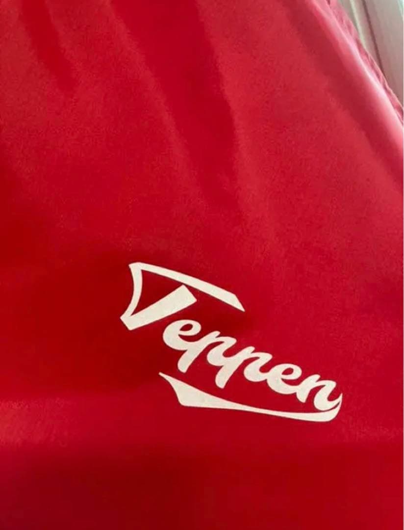 TEPPEN てっぺん 限定モデル シルバーラベル外野用