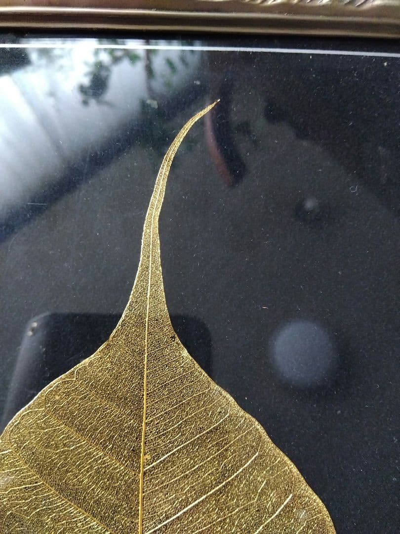 菩提樹　葉脈　24金コーティングアート