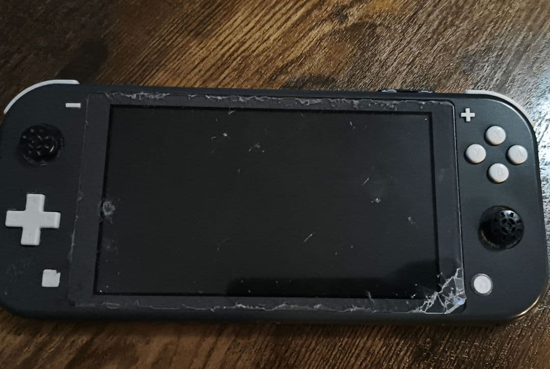 NINTENDO Switch Liteダークグレー　ジャンク