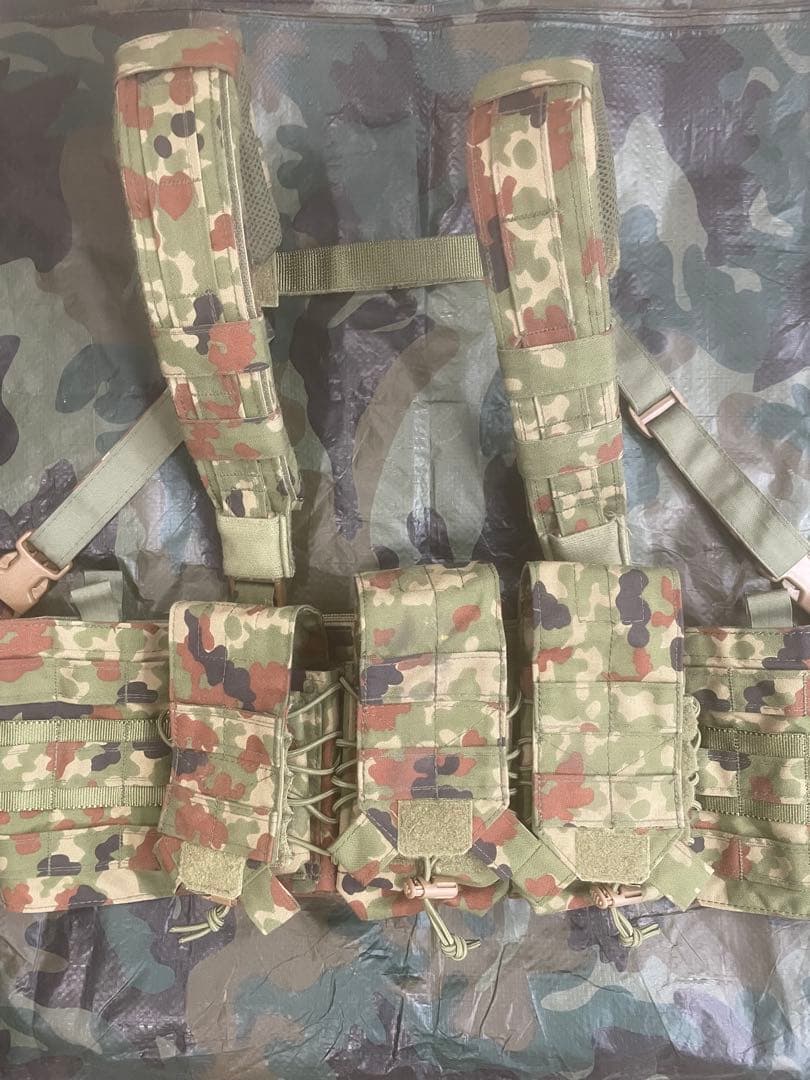 アグレッサーグループ　チェストリグ