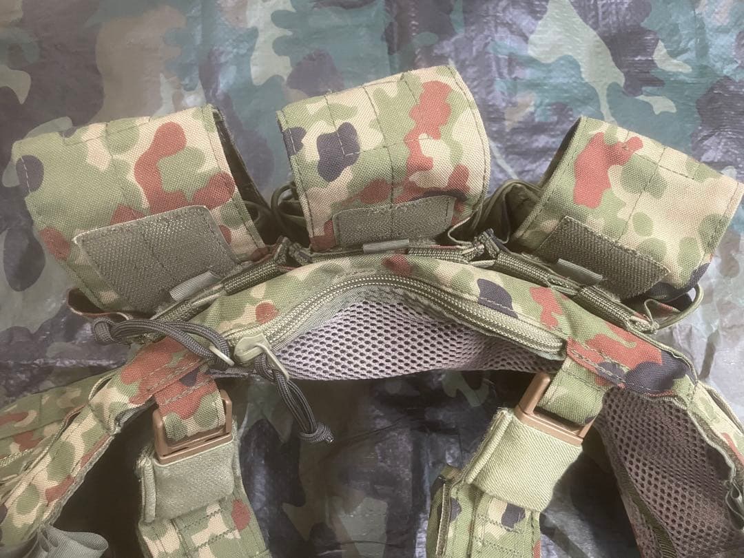 アグレッサーグループ　チェストリグ