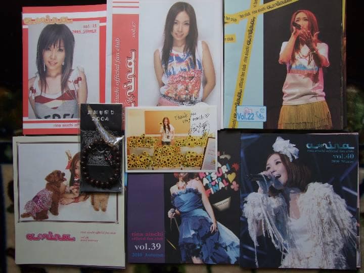 邦楽 RINA AIUCHI PREMIER BOX2000-2010