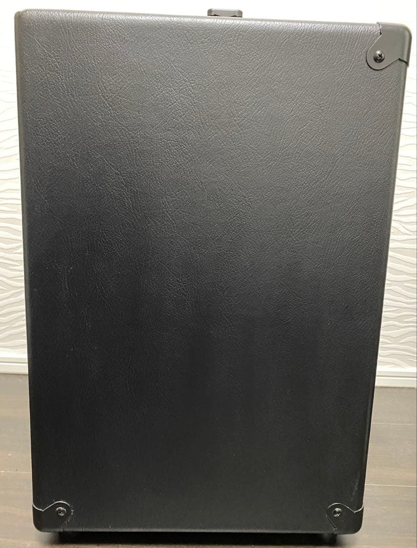 tc electronic BG250-208 ベースアンプ