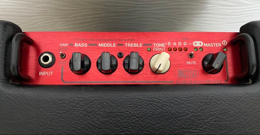 tc electronic BG250-208 ベースアンプ