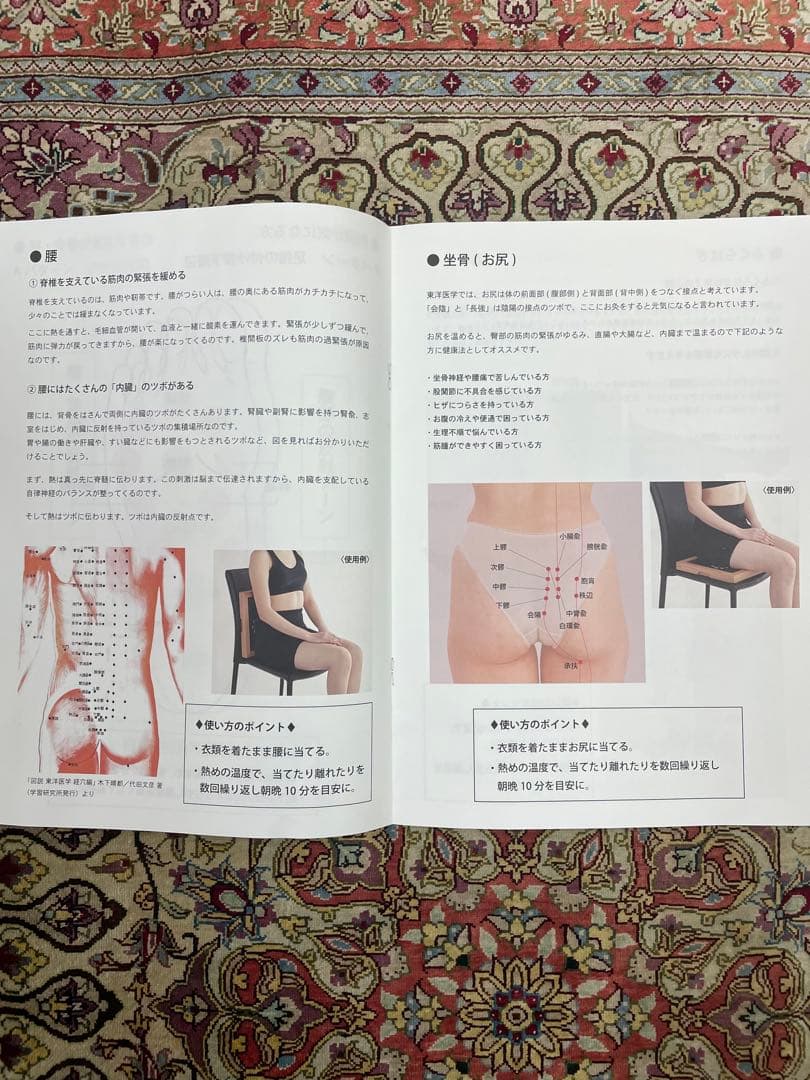 DEN ON ATSU 温熱プレート 42℃ ヘルスサイエンス　電温圧