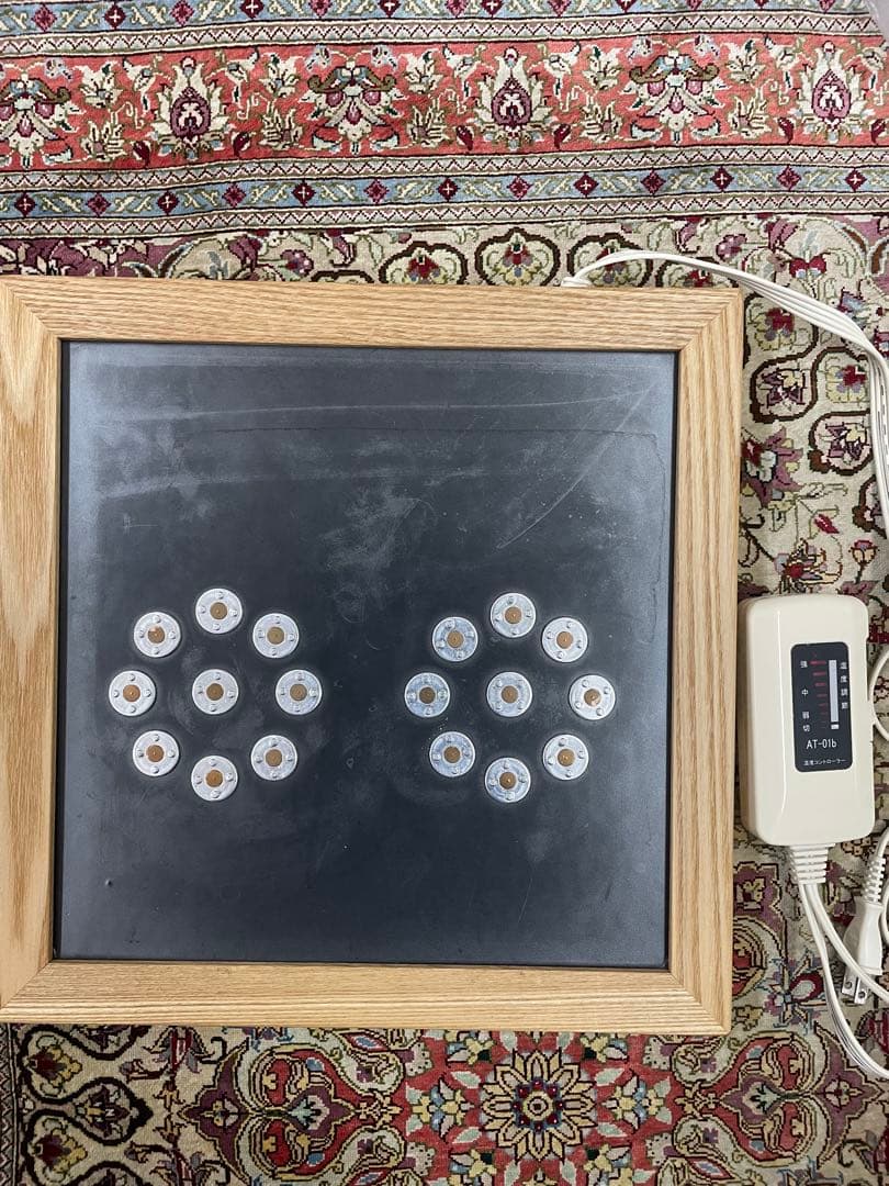 DEN ON ATSU 温熱プレート 42℃ ヘルスサイエンス　電温圧