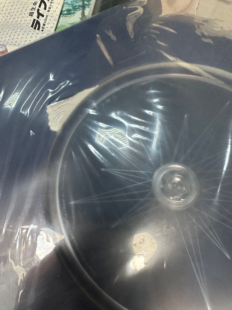 渡辺美里 VOYAGE Ⅶ DVD