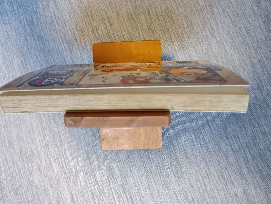 ★希少!レア!★ワンピース1巻初版★