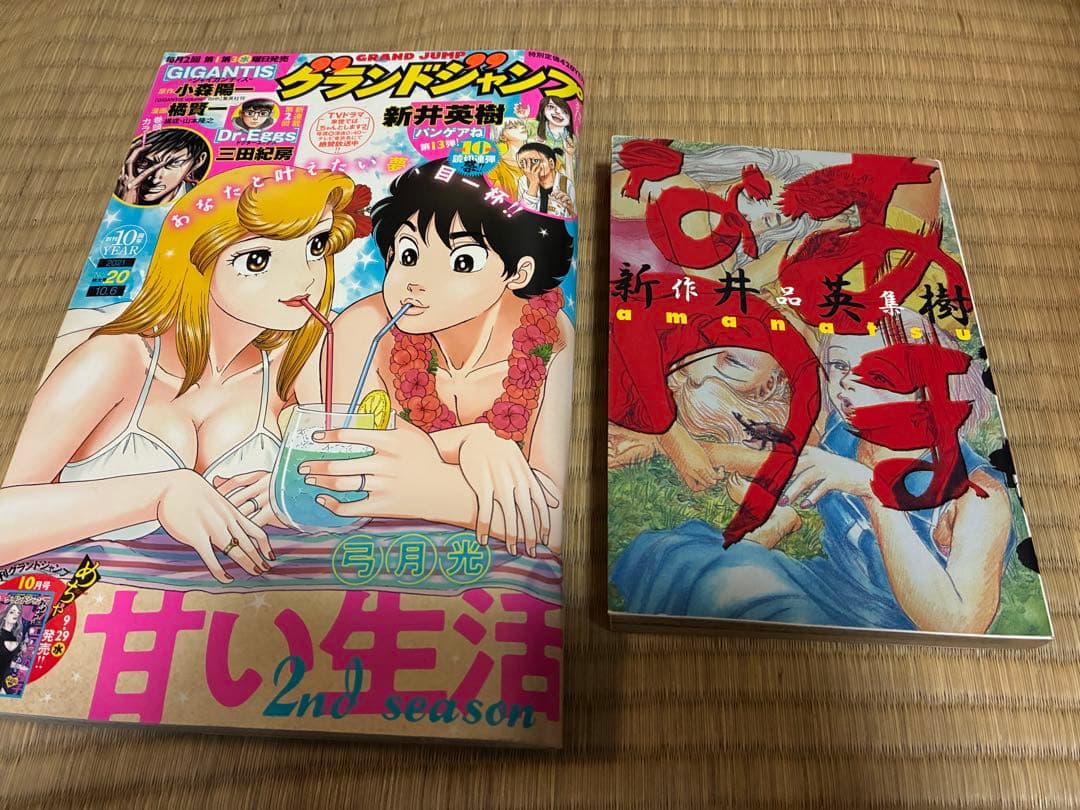 53冊　新井英樹　未単行本化「パンゲアね」読切完結他8作の全巻セット　まとめ売り